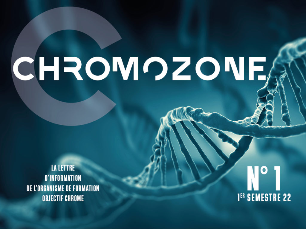 Chromozone-NewsletterObjectifChrome
